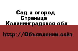  Сад и огород - Страница 4 . Калининградская обл.